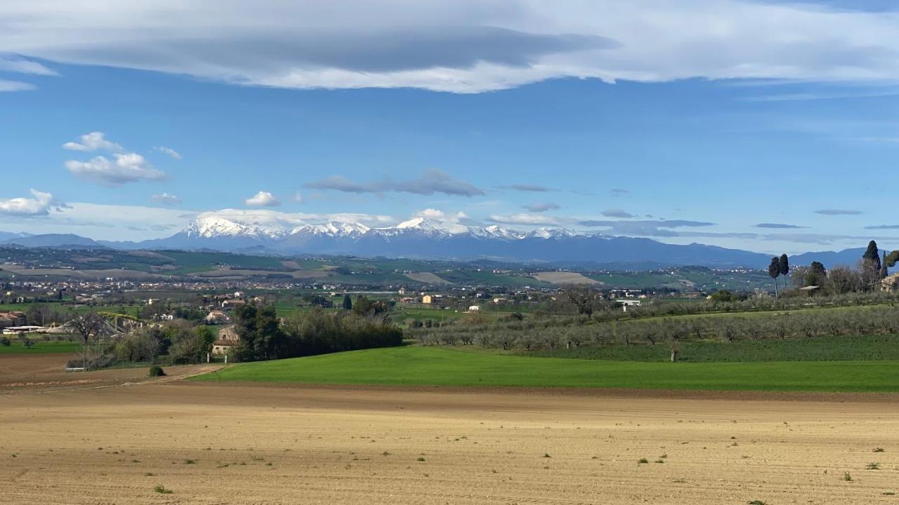 Olea B&B Montecosaro  Eksteriør billede