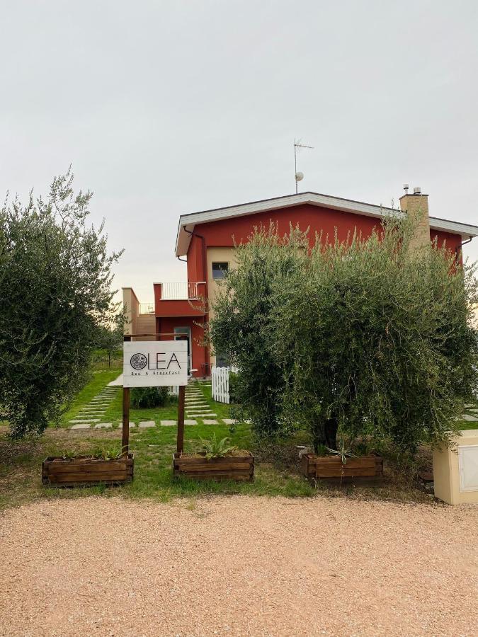 Olea B&B Montecosaro  Eksteriør billede
