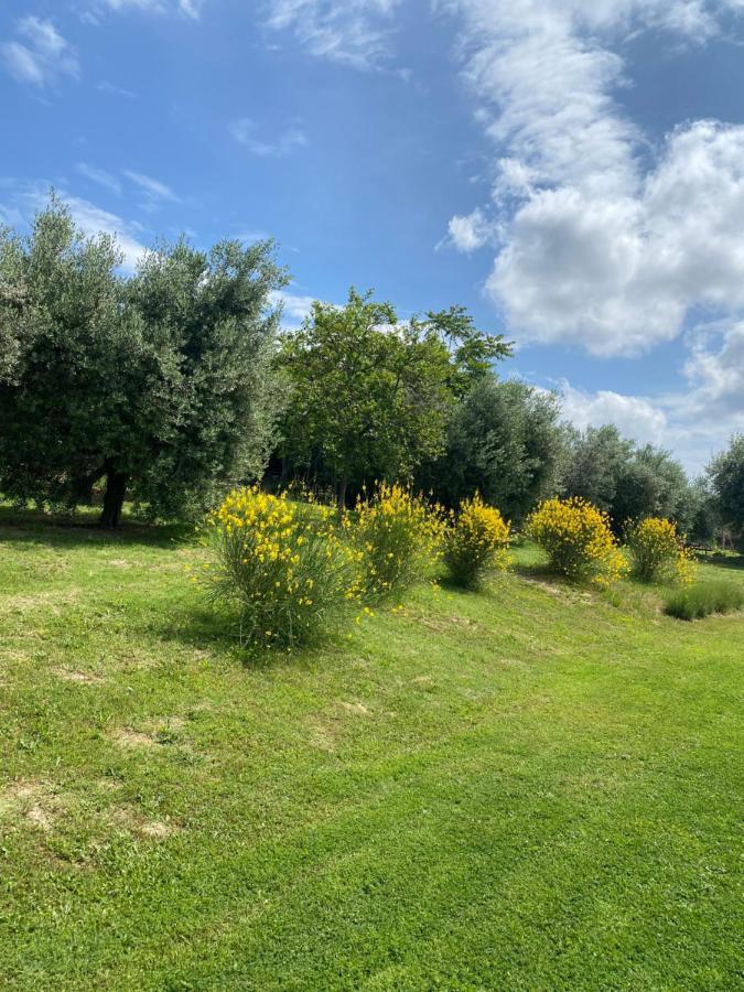 Olea B&B Montecosaro  Eksteriør billede